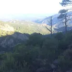Semesterbostad Fraicheur Et Calme En Montagne 30 Mn De La Porto-Vecchio (Corsica)