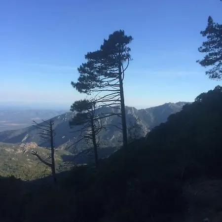 Vakantiehuis Fraicheur Et Calme En Montagne 30 Mn De La Porto-Vecchio (Corsica)
